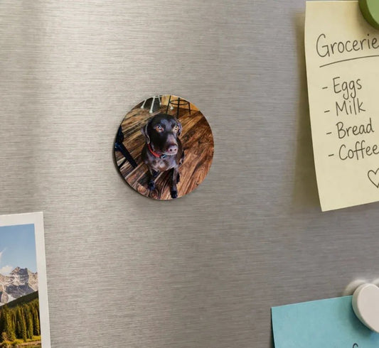 Custom Pet Magnet | Personalized Pet Photo Fridge Magnet